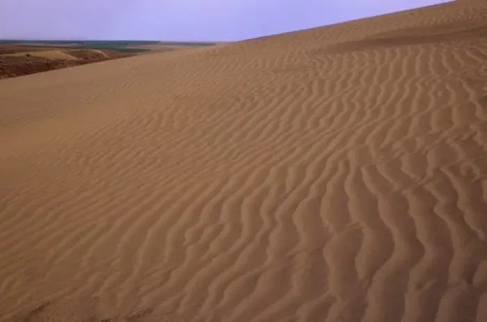 Framed Print : WA, Juniper Dunes Wilderness, sand dunes