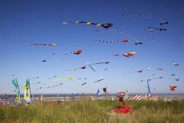 WA, Long Beach, International Kite Festival, Colorful kites