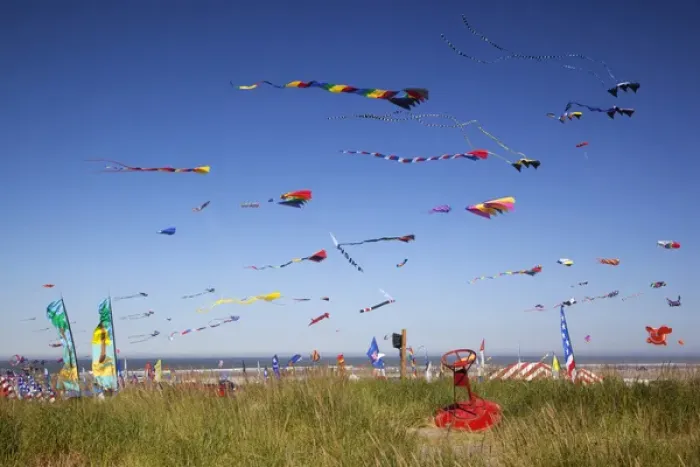 Framed Print : WA, Long Beach, International Kite Festival, Colorful kites Framed Print : WA, Long Beach, International Kite Festival, Colorful kites