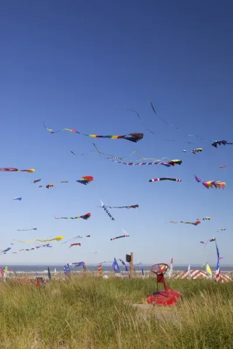 Framed Print : WA, Long Beach, International Kite Festival, Colorful kites Framed Print : WA, Long Beach, International Kite Festival, Colorful kites