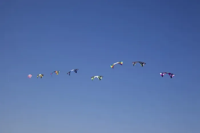 Framed Print : WA, Long Beach, International Kite Festival, Quad line stunt kites
