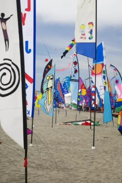 Framed Print : WA, Long Beach, International Kite Festival, colorful banners