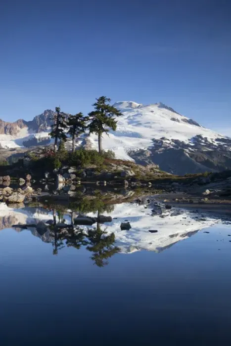 Framed Print : WA, Mount Baker National Recreation Area, Park Butte, Mount Baker reflected in alpine