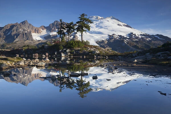 WA, Mount Baker National Recreation Area, Park Butte, Mount Baker reflected in alpine