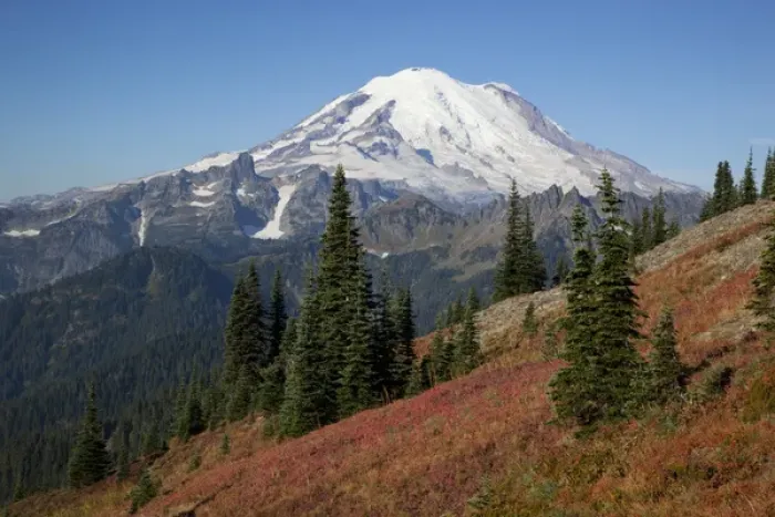 Framed Print : WA, Mount Rainier National Park, Mount Rainier, view from Naches Loop near Chinook Pass Framed Print : WA, Mount Rainier National Park, Mount Rainier, view from Naches Loop near Chinook Pass