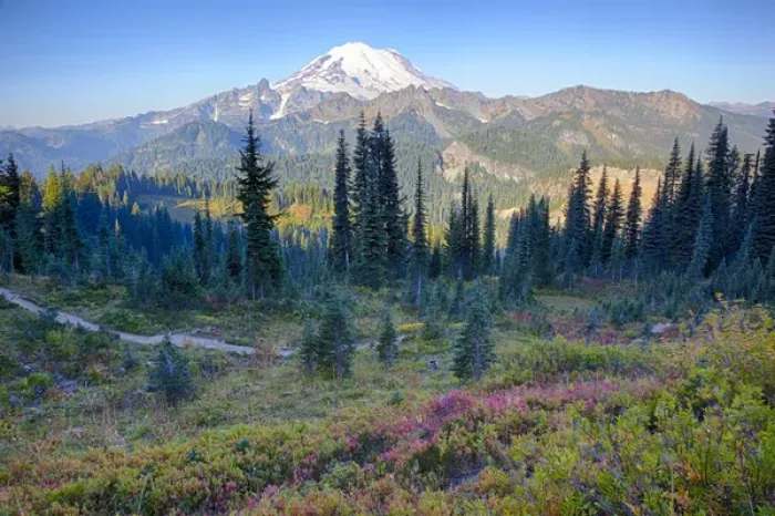 Framed Print : WA, Mount Rainier National Park, Mount Rainier, view from Naches Loop near Chinook Pass Framed Print : WA, Mount Rainier National Park, Mount Rainier, view from Naches Loop near Chinook Pass
