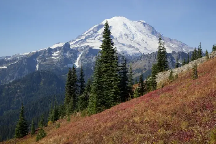 Framed Print : WA, Mount Rainier National Park, Mount Rainier, view from Naches Loop near Chinook Pass Framed Print : WA, Mount Rainier National Park, Mount Rainier, view from Naches Loop near Chinook Pass