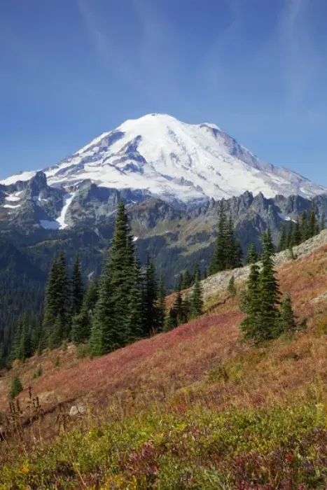 Framed Print : WA, Mount Rainier National Park, Mount Rainier, view from Naches Loop near Chinook Pass