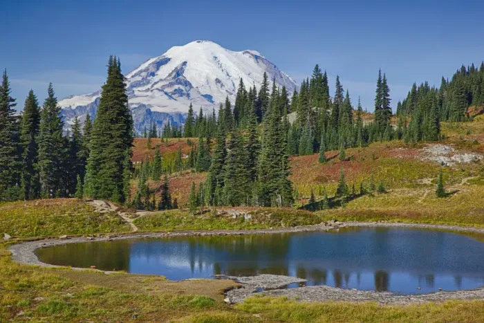 Framed Print : WA, Mount Rainier National Park, Mount Rainier, view from Naches Loop near Chinook Pass