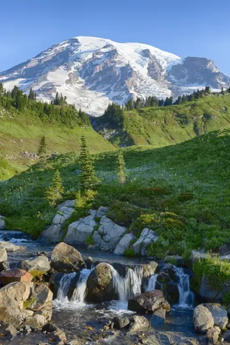 Framed Print : WA, Mount Rainier National Park, Edith Creek and Mount Rainier