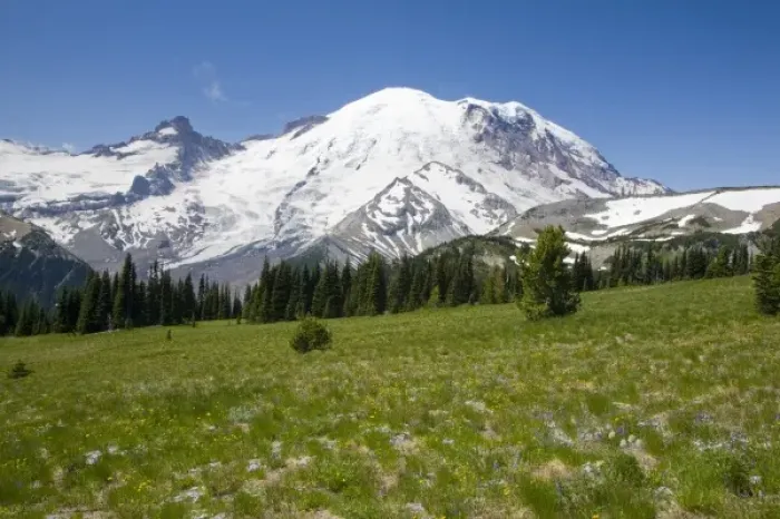 Framed Print : WA, Mount Rainier National Park, Mount Rainier and Little Tahoma, with Steamboat Prow formation Framed Print : WA, Mount Rainier National Park, Mount Rainier and Little Tahoma, with Steamboat Prow formation