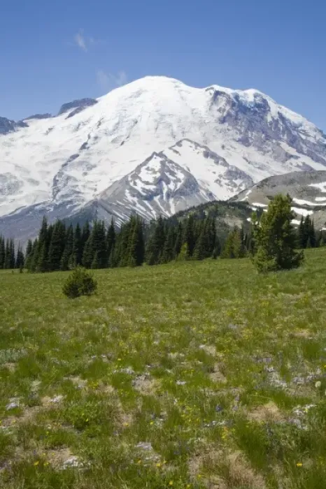Framed Print : WA, Mount Rainier National Park, Mount Rainier, with Steamboat Prow formation, view Framed Print : WA, Mount Rainier National Park, Mount Rainier, with Steamboat Prow formation, view