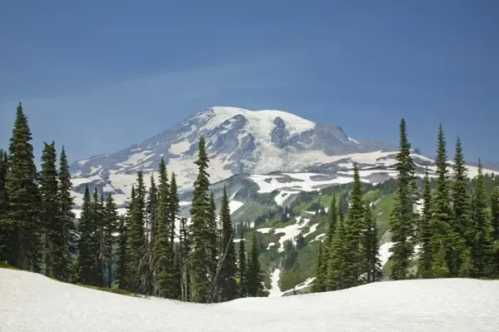 Framed Print : WA, Mount Rainier National Park, Mount Rainier, view from Skyline Trail