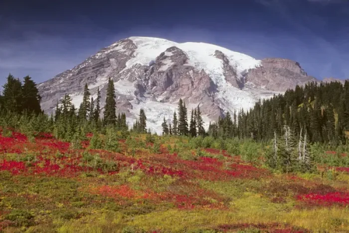 Framed Print : WA, Mount Rainier National Park, Mt. Rainier view from Paradise