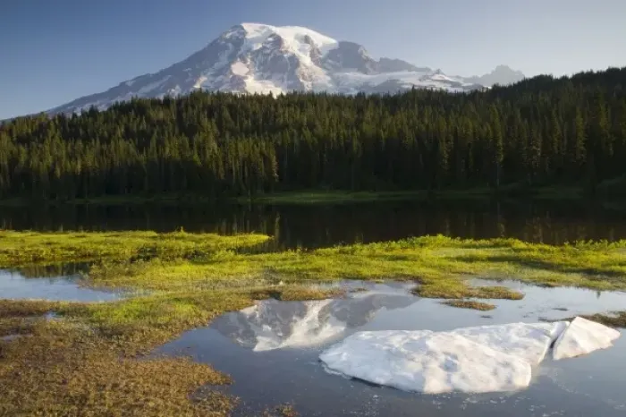 Framed Print : WA, Mount Rainier National Park, Mt. Rainier reflected in Reflection Lake