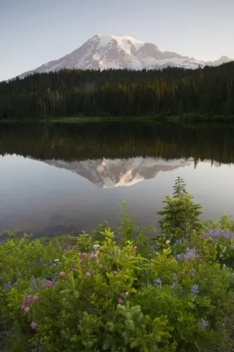 Framed Print : WA, Mount Rainier National Park, Mt. Rainier reflected in Reflection Lake Framed Print : WA, Mount Rainier National Park, Mt. Rainier reflected in Reflection Lake