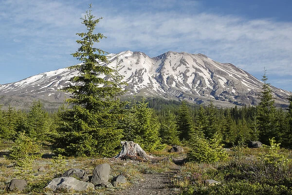 WA, Mount Saint Helens National Volcanic Monument, Mount Saint Helens, view from south