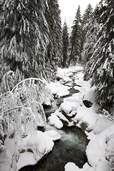 WA, Mt. Baker Snoqualmie NF; South Fork Snoqualmie River after winter snow storm