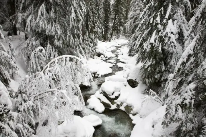 Framed Print : WA, Mt. Baker Snoqualmie NF; South Fork Snoqualmie River after winter snow storm Framed Print : WA, Mt. Baker Snoqualmie NF; South Fork Snoqualmie River after winter snow storm