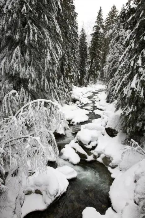 Framed Print : WA, Mt. Baker Snoqualmie NF; South Fork Snoqualmie River after winter snow storm Framed Print : WA, Mt. Baker Snoqualmie NF; South Fork Snoqualmie River after winter snow storm