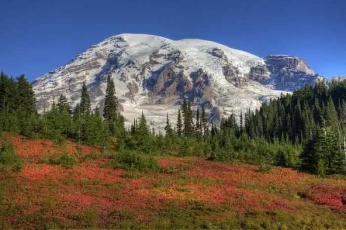 Framed Print : WA, Mt. Rainier National Park, Paradise Valley and Mt. Rainier Framed Print : WA, Mt. Rainier National Park, Paradise Valley and Mt. Rainier