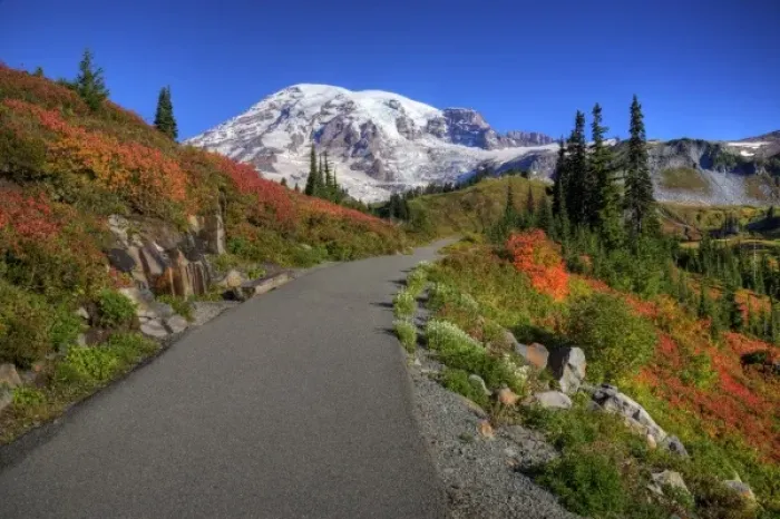 Framed Print : WA, Mt. Rainier National Park, Paradise Valley trail with Mt. Rainier Framed Print : WA, Mt. Rainier National Park, Paradise Valley trail with Mt. Rainier