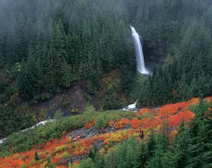 Framed Print : WA, Mt. Rainier NP, Martha Falls with fall color in Stevens Canyon