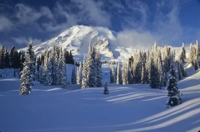 Framed Print : WA, Mt. Rainier NP, Mt. Rainier and Paradise Valley after snow storm Framed Print : WA, Mt. Rainier NP, Mt. Rainier and Paradise Valley after snow storm