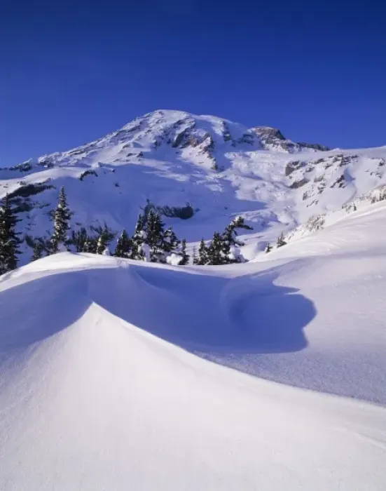 Framed Print : WA, Mt. Rainier NP, Mt. Rainier after snow storm, near Glacier Vista
