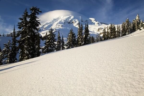 WA, Mt. Rainier NP, Mt. Rainier after winter snowstorm
