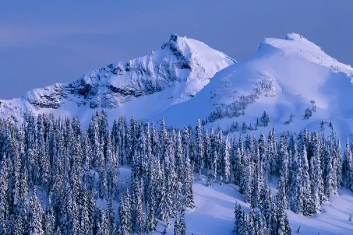 Framed Print : WA, Mt. Rainier NP, Tatoosh Range and snow covered trees