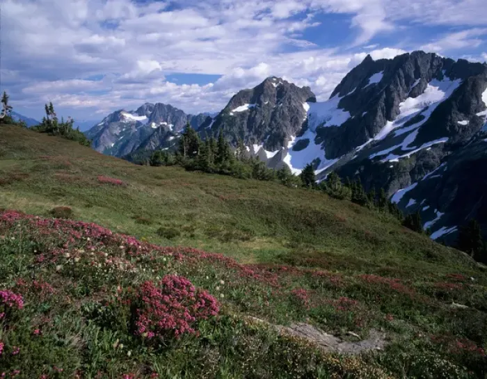 Framed Print : WA, North Cascades National Park, view from Sahale Arm above Cascade Pass Framed Print : WA, North Cascades National Park, view from Sahale Arm above Cascade Pass