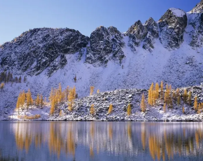 Framed Print : WA, Okanogan NF, Upper Eagle Lake and Sawtooth Ridge with golden Larch trees Framed Print : WA, Okanogan NF, Upper Eagle Lake and Sawtooth Ridge with golden Larch trees