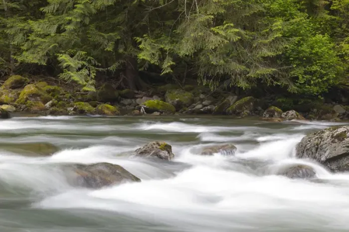 Framed Print : WA, Olallie State Park, Snoqualmie River, South Fork