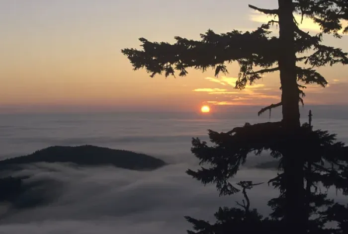 Framed Print : WA, Olympic National Park, Hurricane Ridge, Sunrise near Observation Point