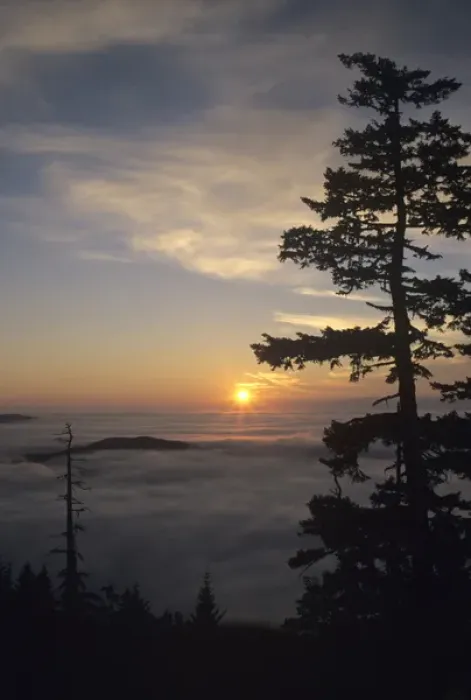 Framed Print : WA, Olympic National Park, Hurricane Ridge, Sunrise near Observation Point