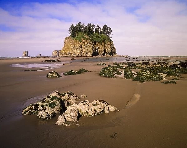 WA, Olympic National Park, Second Beach, tidepools and seastacks at low tide