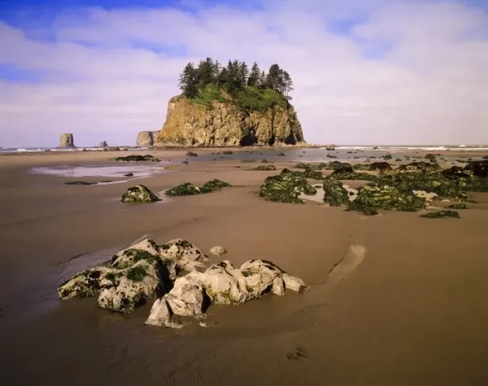 Framed Print : WA, Olympic National Park, Second Beach, tidepools and seastacks at low tide Framed Print : WA, Olympic National Park, Second Beach, tidepools and seastacks at low tide