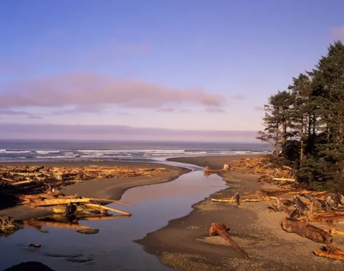 Framed Print : WA, Olympic NP, Kalaloch Beach and Kalaloch Creek