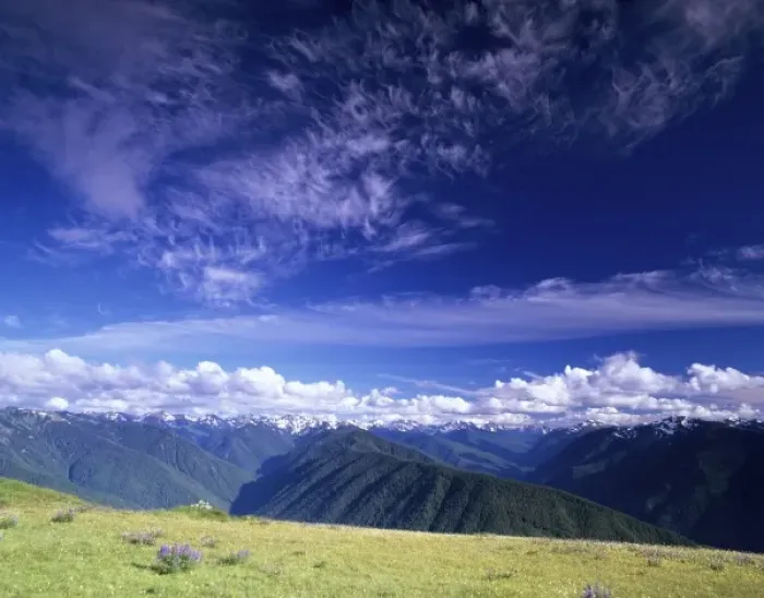Framed Print : WA, Olympic NP, Olympic Mountain Range, view from Hurricane Ridge