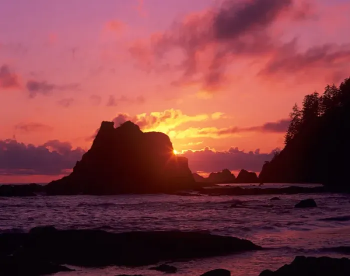Framed Print : WA, Olympic NP, Rialto Beach at sunset