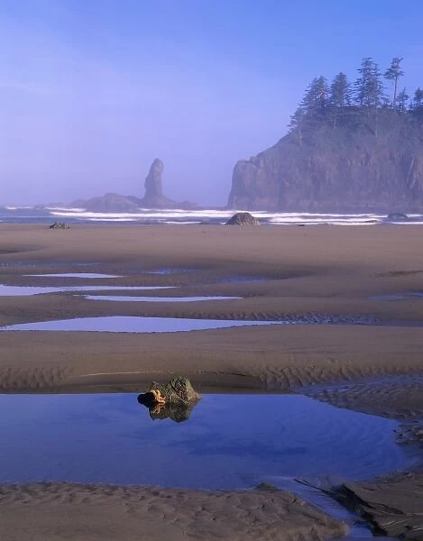 WA, Olympic NP, Second Beach with tidepools and seastacks