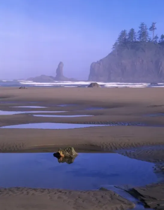 Framed Print : WA, Olympic NP, Second Beach with tidepools and seastacks