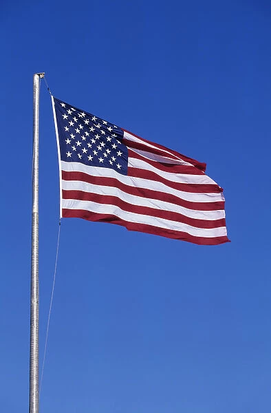 WA, Seattle, American Flag
