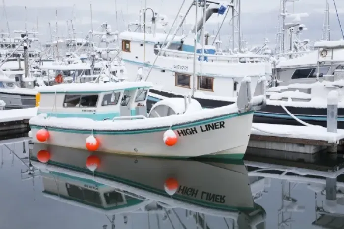 Framed Print : WA, Seattle, Fishermens Terminal, Fishing boats with snow Framed Print : WA, Seattle, Fishermens Terminal, Fishing boats with snow