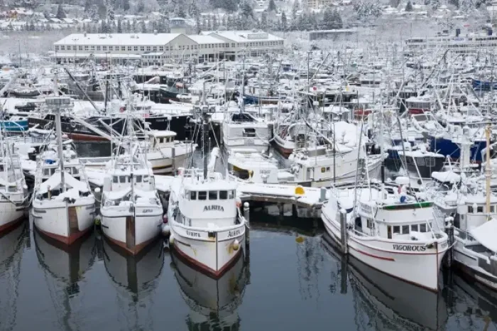 Framed Print : WA, Seattle, Fishermens Terminal, Fishing boats with snow