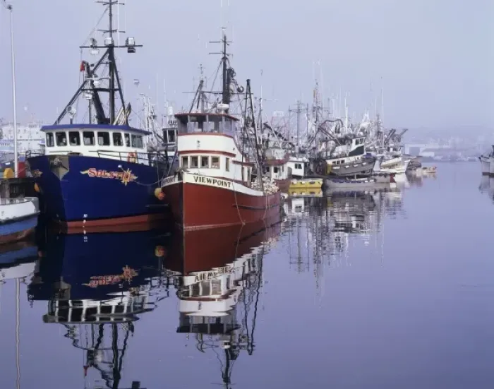 Framed Print : WA, Seattle, Fishermens Terminal Framed Print : WA, Seattle, Fishermens Terminal