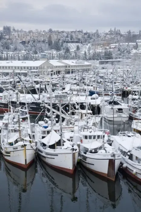 Framed Print : WA, Seattle, Fishermens Terminal, Fishing boats with snow Framed Print : WA, Seattle, Fishermens Terminal, Fishing boats with snow