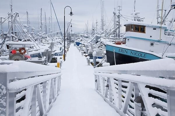 WA, Seattle, Fishermens Terminal, Fishing boats with snow