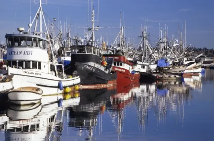 Framed Print : WA, Seattle, Fishing boats moored at Fishermens Terminal